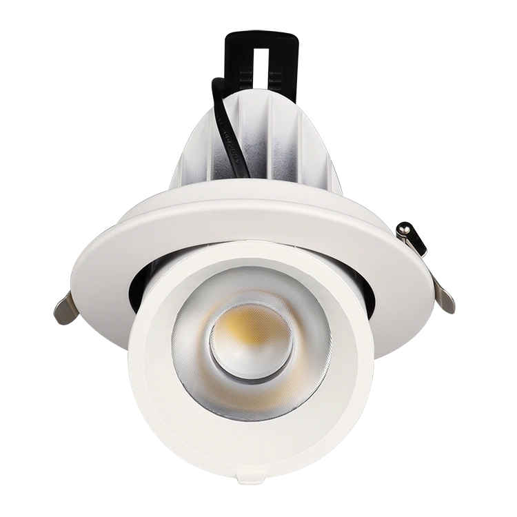 Lumière du tronc d'éléphant