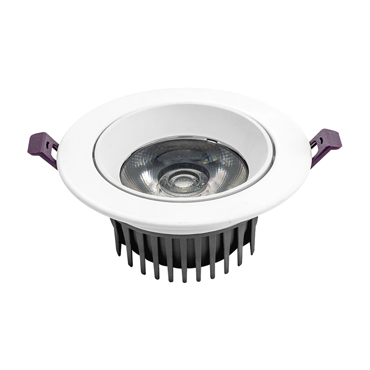 Grand lentille Downlight